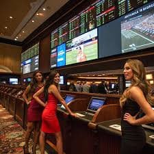 maja87 platform taruhan odds real-time sepak bola dan olahraga live